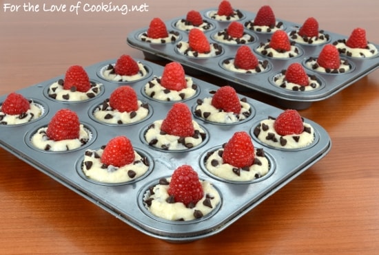 Chocolate Raspberry Mini Muffins