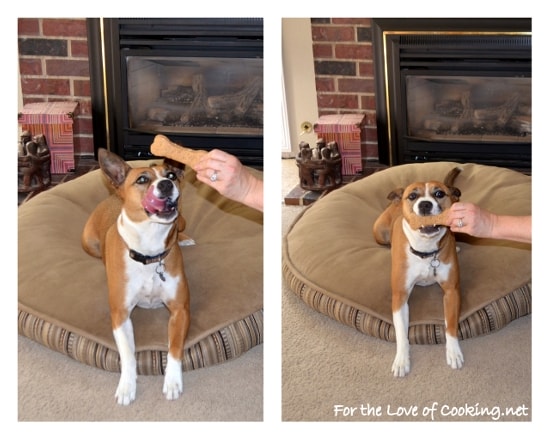 Peanut Butter Dog Bone Treats
