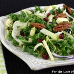 Shaved Kale and Brussels Sprout Salad with Pomegranate, Apple, Sharp Cheddar, Sugared Pecans and White Balsamic Vinaigrette