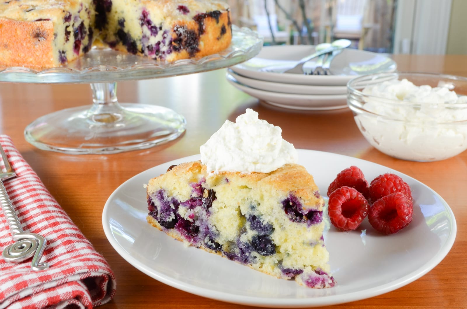 Custard Cake With Blueberries | RecipeTin Eats