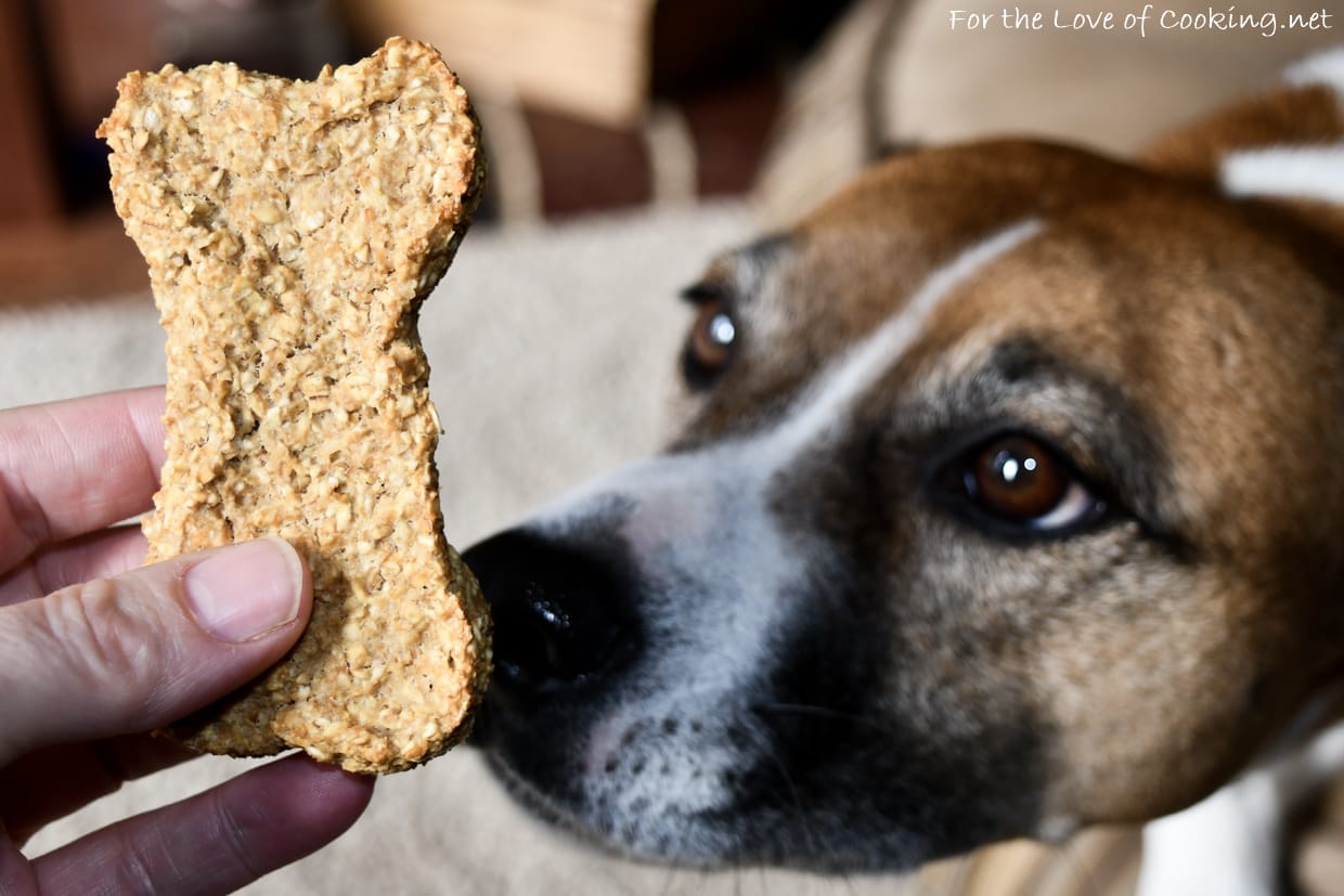 Apple peanut butter outlet oatmeal dog treats