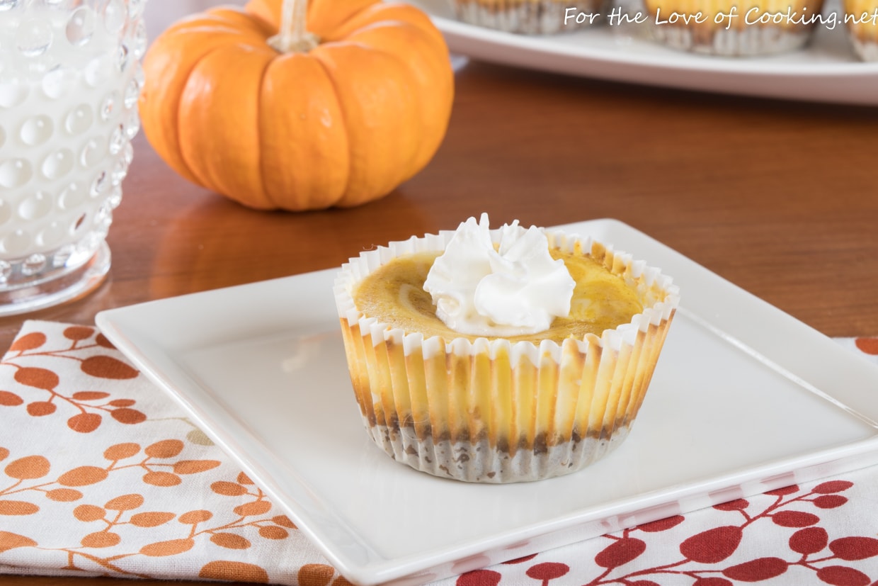 Mini Pumpkin Swirl Cheesecake with Gingersnap Crust | For the Love of