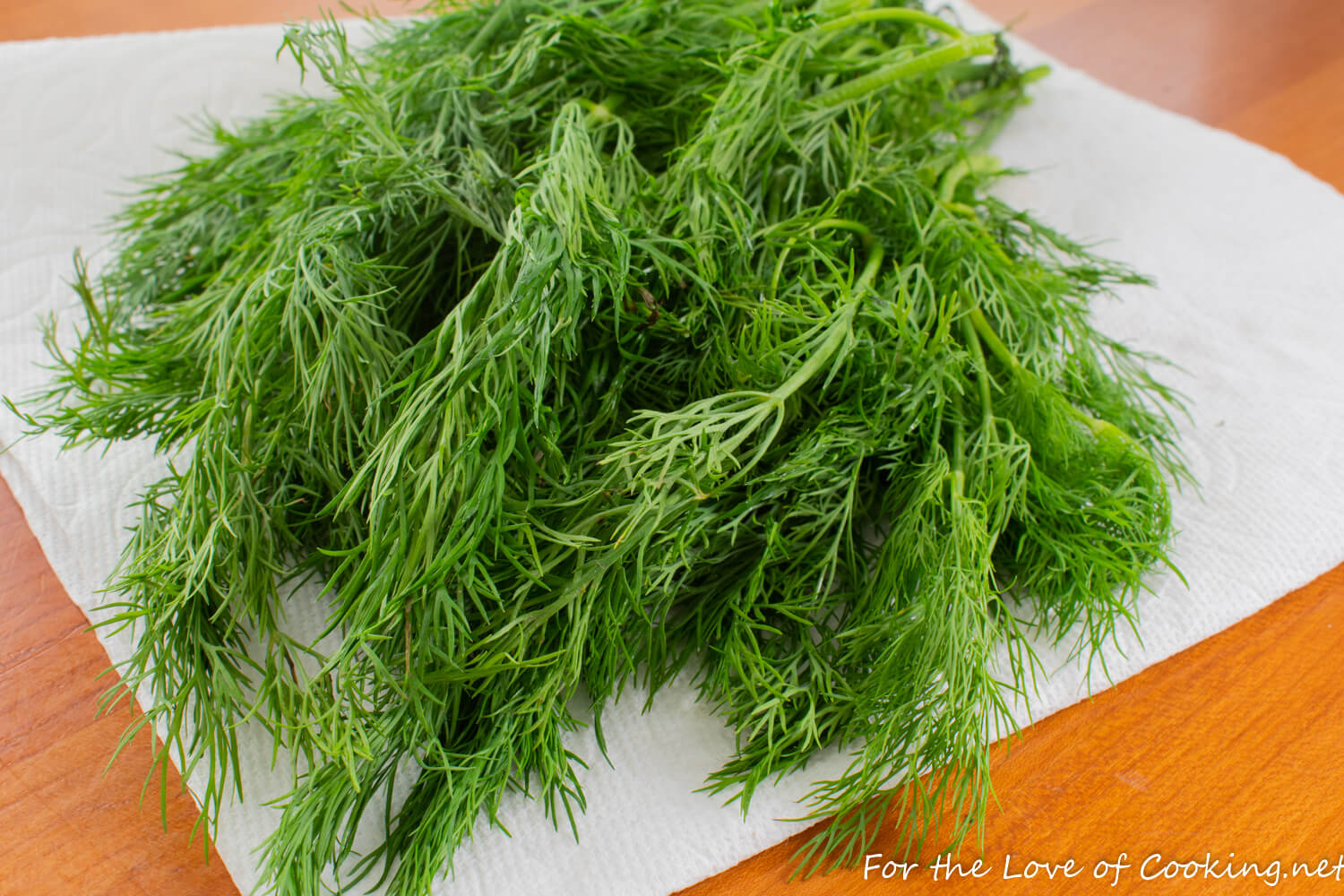 How to Dry Fresh Dill  For the Love of Cooking