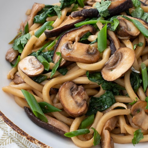 20-Minute Udon Noodle Stir Fry with Mushrooms - Bowl of Delicious