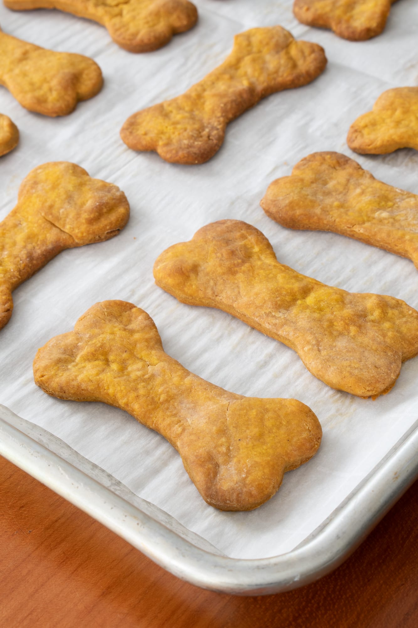 3 Ingredient Ridiculously Simple Pumpkin Dog Treats