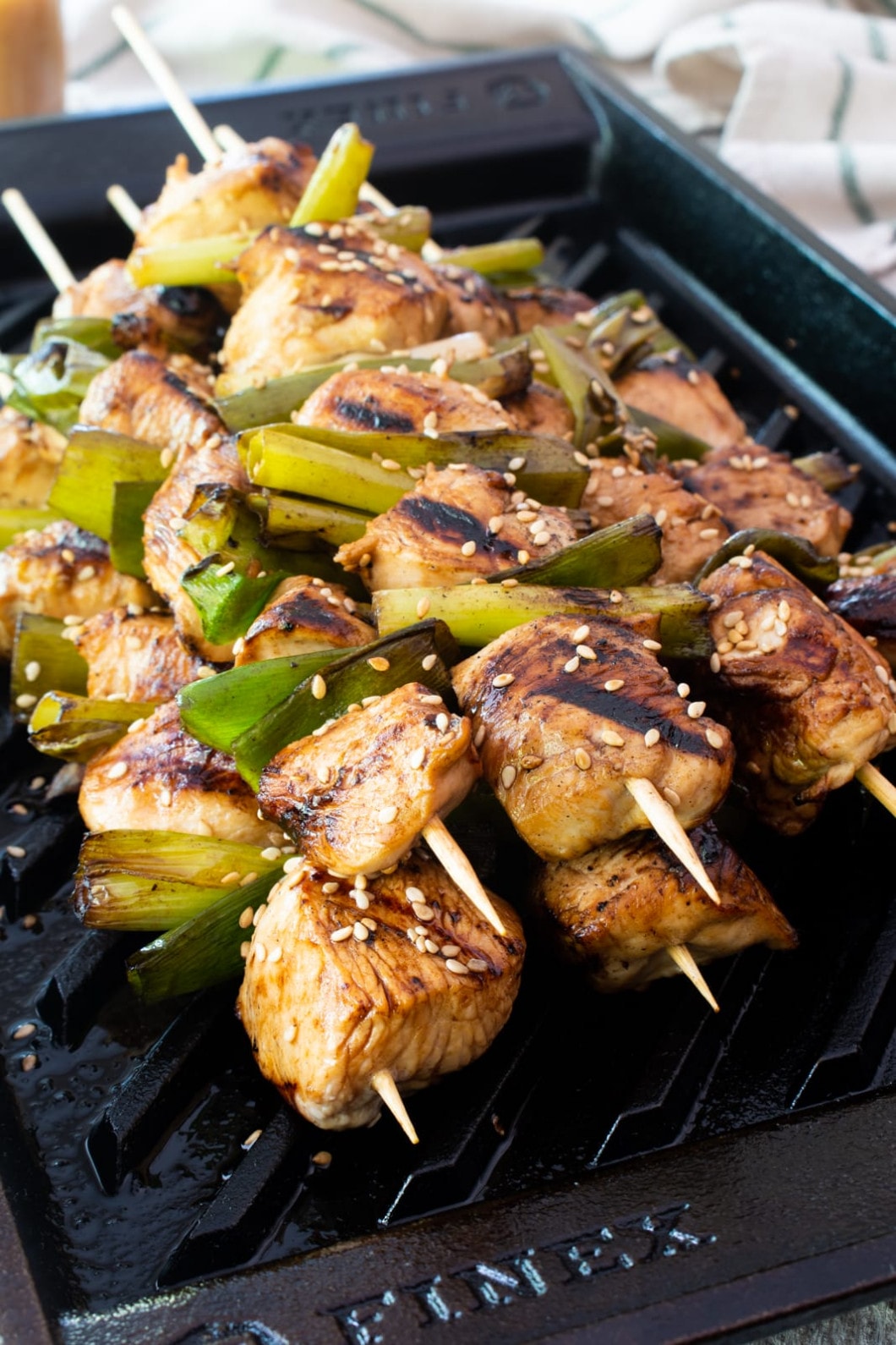 Asian Chicken and Scallion Skewers