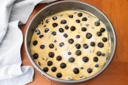 Blueberry Ricotta Cake | For the Love of Cooking